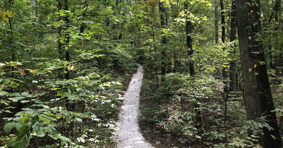 Mr. Lincoln’s Neighborhood 5K at Lincoln State Park